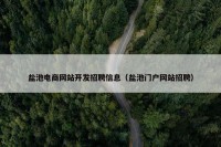 盐池电商网站开发招聘信息（盐池门户网站招聘）