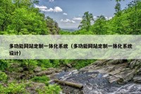 多功能网站定制一体化系统（多功能网站定制一体化系统设计）