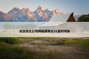 包含优化公司网站保举火31星的词条