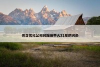 包含优化公司网站保举火31星的词条
