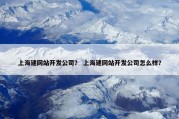上海建网站开发公司？ 上海建网站开发公司怎么样？
