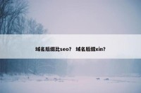 域名后缀比seo？ 域名后缀xin？