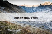 沧州快速优化网站，沧州网页