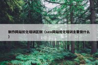 制作网站优化培训区别（seo网站优化培训主要做什么）