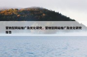 营销型网站推广及优化研究，营销型网站推广及优化研究报告