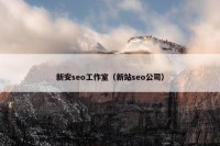 新安seo工作室（新站seo公司）