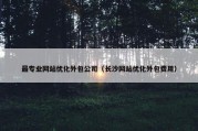 最专业网站优化外包公司（长沙网站优化外包费用）