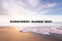 商丘网站开发哪家好（商丘网络推广哪家好）