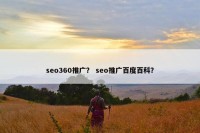 seo360推广？ seo推广百度百科？