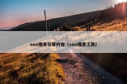 seo搜索引擎内容（seo搜索工具）