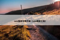 seo搜索引擎内容（seo搜索工具）