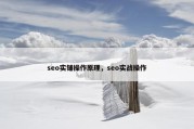 seo实铺操作原理，seo实战操作