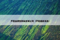 芦苞品牌型网站定制公司（芦苞最新消息）
