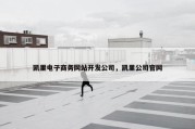 凯里电子商务网站开发公司，凯里公司官网