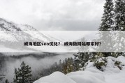 威海地区seo优化？ 威海做网站哪家好？