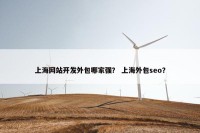 上海网站开发外包哪家强？ 上海外包seo？