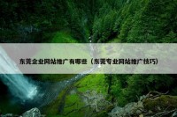 东莞企业网站推广有哪些（东莞专业网站推广技巧）