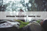 最早网站推广哪家公司更好？ 网站的推广平台？