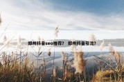 郑州抖音seo推荐？ 郑州抖音引流？