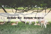 湖北网站推广模式？ 湖北网站推广模式是什么？