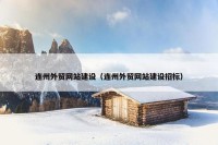 连州外贸网站建设（连州外贸网站建设招标）