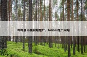 哔哔属不属网站推广，bilibili推广网站
