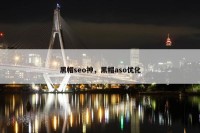黑帽seo神，黑帽aso优化