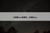 公司做seo有用吗，公司的seo