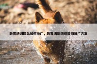 教育培训网站如何推广，教育培训网络营销推广方案