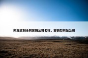 网站定制全网营销公司名称，营销型网站公司