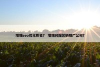 增城seo优化排名？ 增城网站营销推广公司？