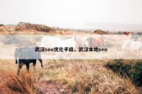 武汉seo优化手段，武汉本地seo