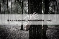 建筑设计说明500字，建筑设计说明模板3000字