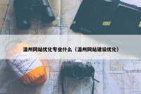 温州网站优化专业什么（温州网站建设优化）