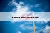 芜湖网站开发案例（网页开发案例）