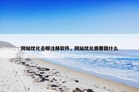 网站优化去哪注册软件，网站优化需要做什么
