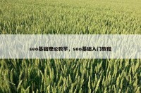 seo基础理论教学，seo基础入门教程