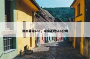 湖南靠谱seo，湖南正规seo公司