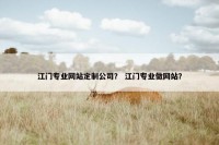 江门专业网站定制公司？ 江门专业做网站？