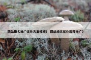 网站排名推广优化方案模板？ 网站排名优化教程推广？