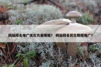 网站排名推广优化方案模板？ 网站排名优化教程推广？