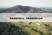 安徽省组织部公示，安徽省组织部公示林