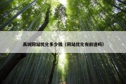 禹城网站优化多少钱（网站优化有前途吗）