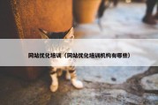 网站优化培训（网站优化培训机构有哪些）