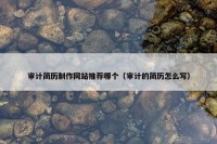 审计简历制作网站推荐哪个（审计的简历怎么写）