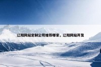 辽阳网站定制公司推荐哪家，辽阳网站开发