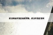 武汉网站开发区拍照攻略，武汉开发区官网