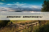 品牌网站开发特点？ 品牌网站开发特点是什么？