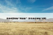 黔南州营销推广网站推广（黔东南店铺推广招聘）