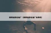 刷网站排名推广（刷网站排名推广有用吗）